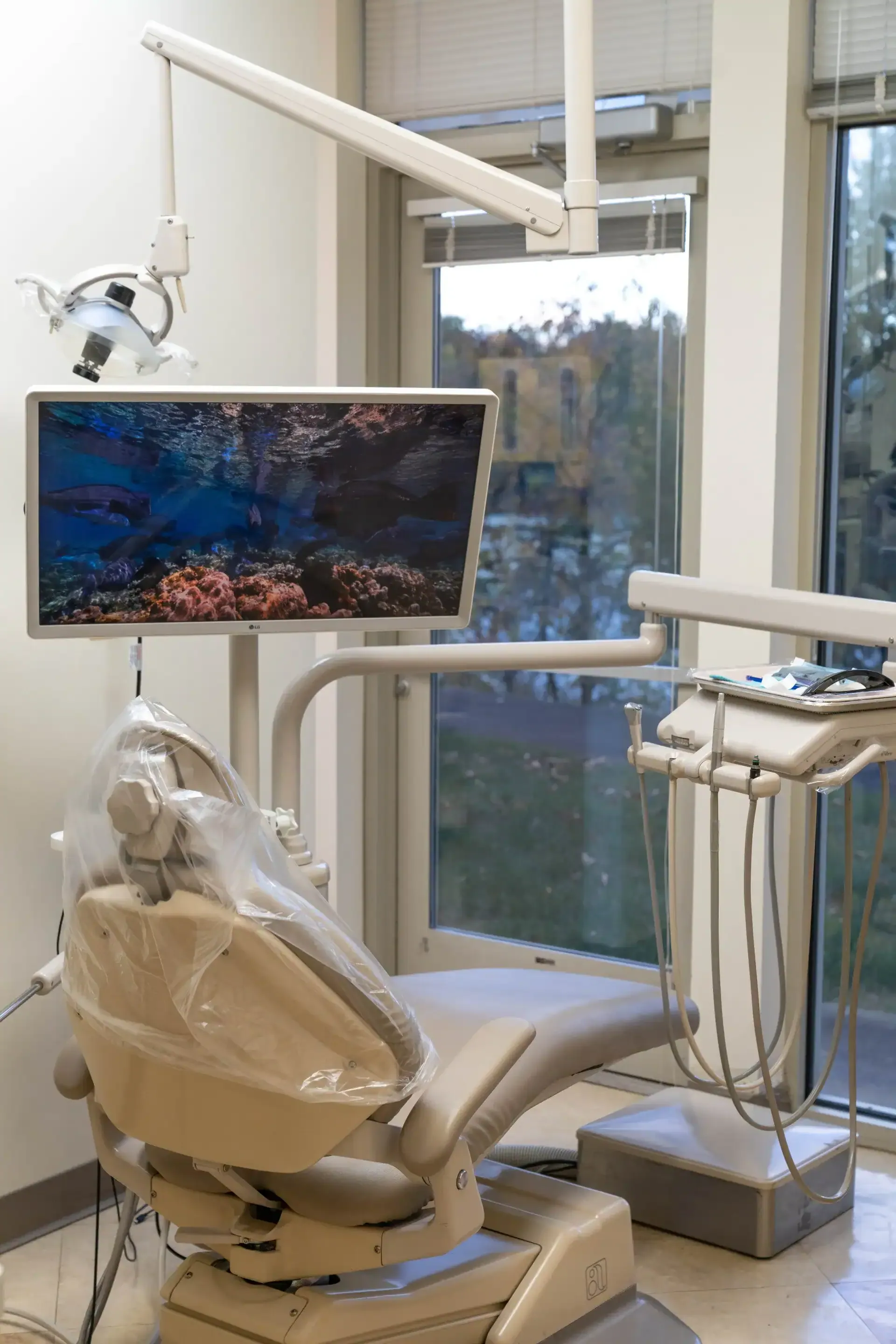 A treatment room at Westlake Dental Care in Sterling, with the ceiling screen and a window onto the trees